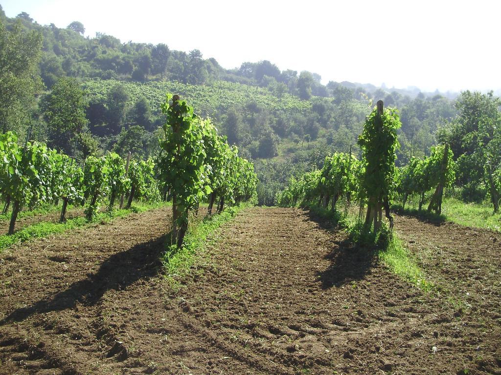Tenuta Montelaura フォリーノ エクステリア 写真